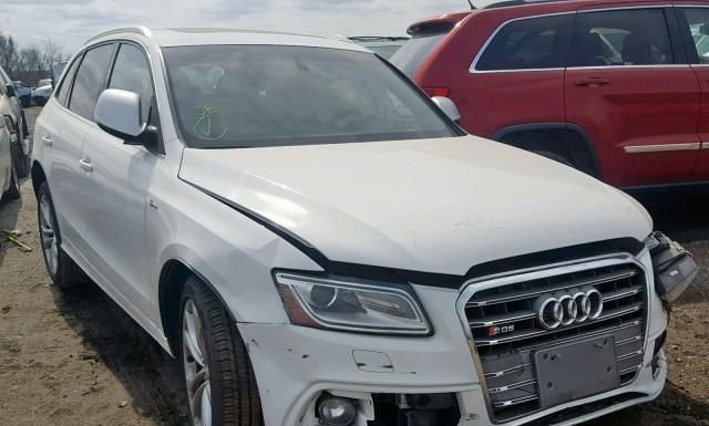 Audi Sq5 (2014)