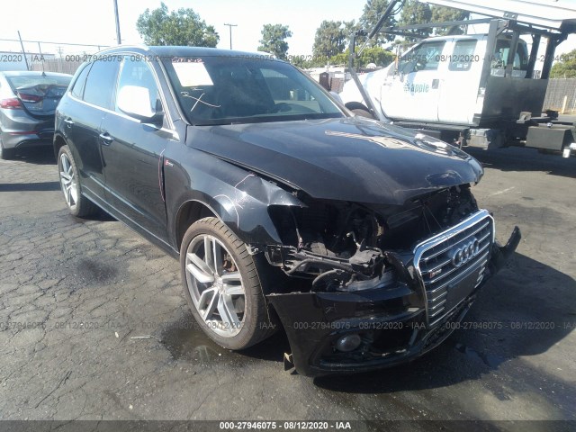 Audi Sq5 (2015)