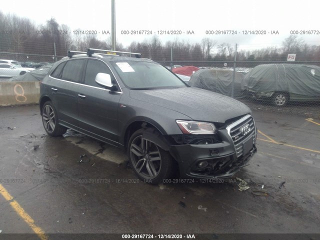 Audi Sq5 (2015)