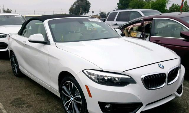 Bmw 230i (2019)