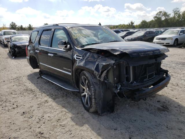 Cadillac Escalade l (2014)