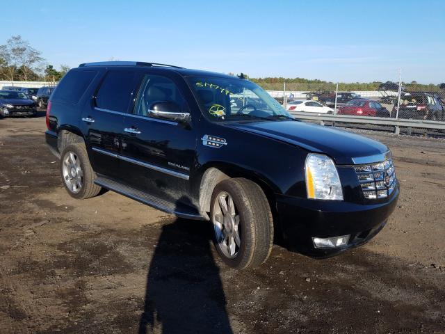 Cadillac Escalade l (2010)