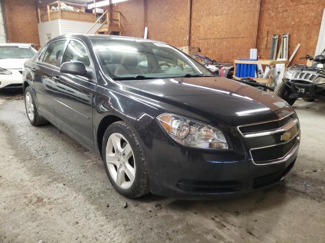 Chevrolet Malibu ls (2012)