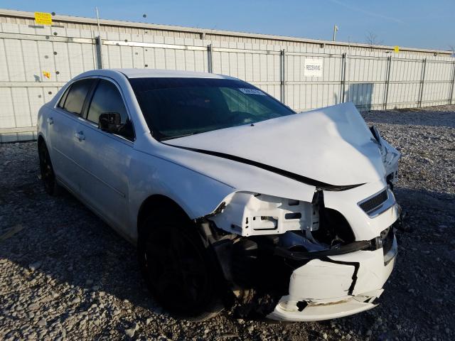 Chevrolet Malibu ls (2012)