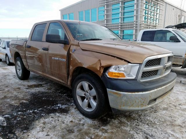 Dodge Ram 1500 s (2012)