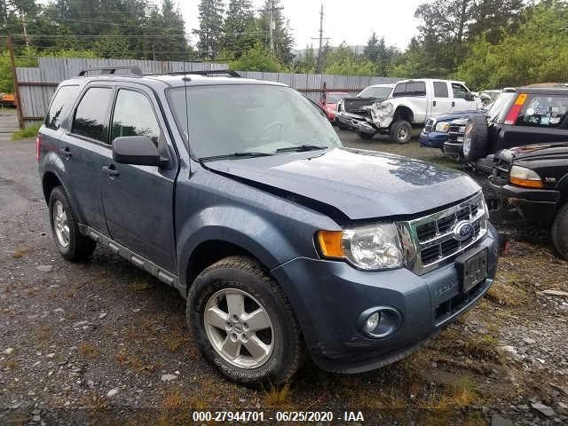 Ford Escape (2010)