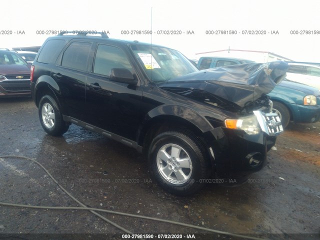Ford Escape (2010)