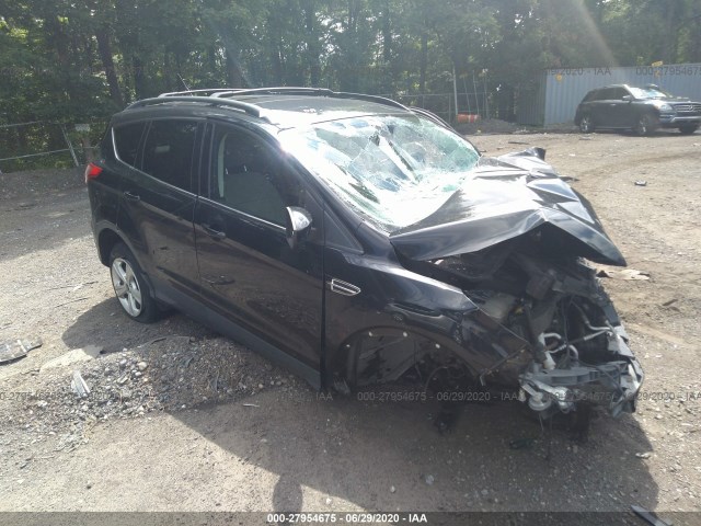 Ford Escape (2013)