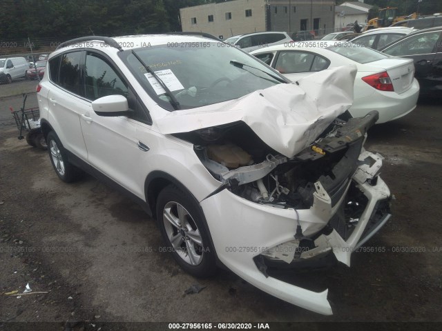 Ford Escape (2014)