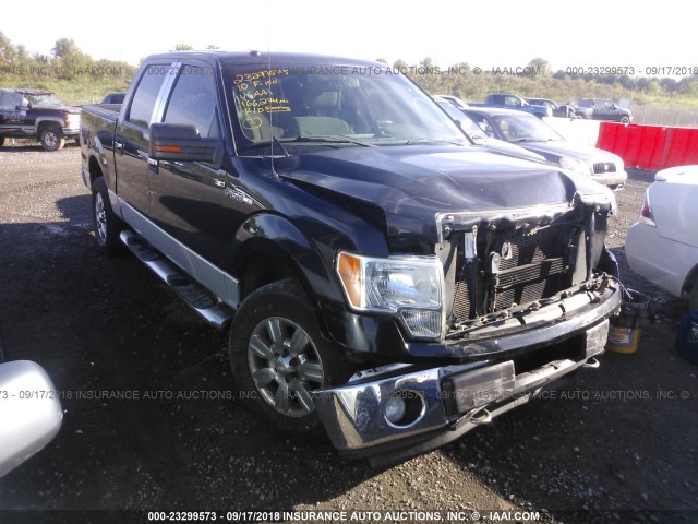 Ford F-150 (2010)