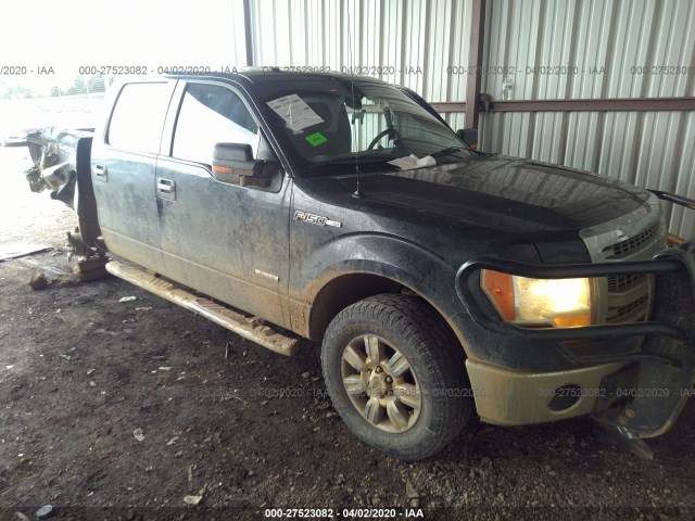 Ford F-150 (2014)