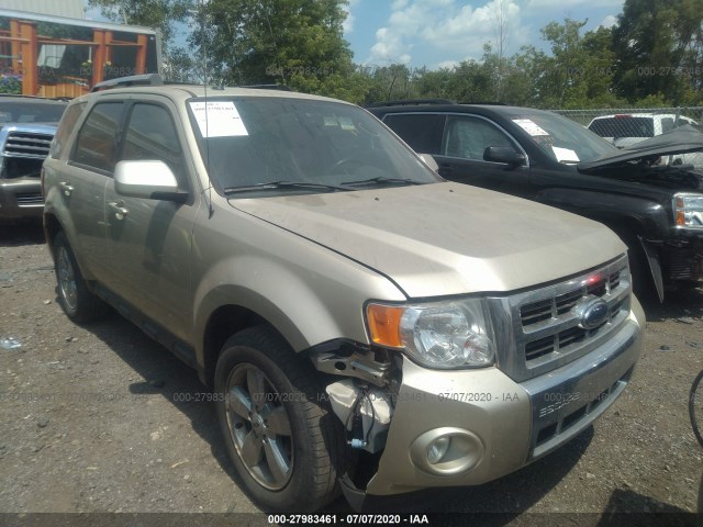 Ford Escape (2010)