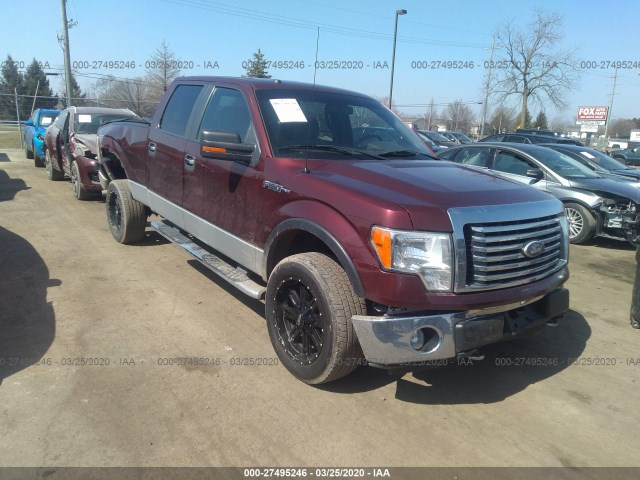 Ford F-150 (2010)
