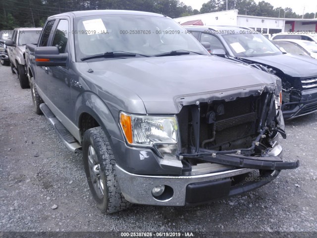 Ford F-150 (2011)