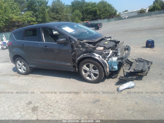 Ford Escape (2015)