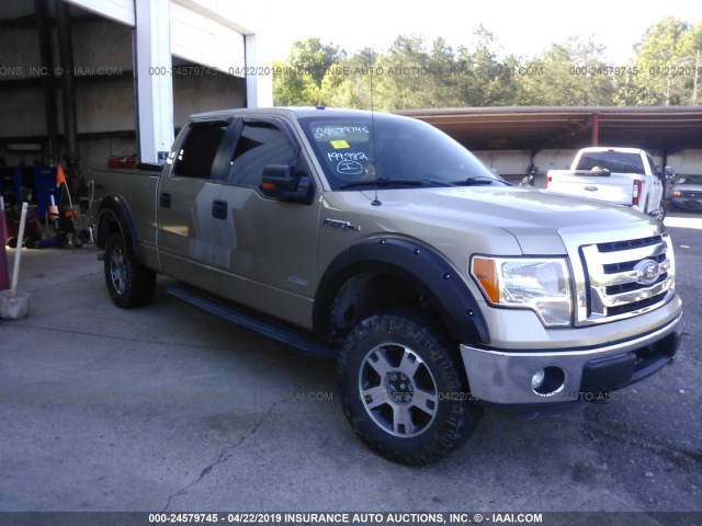 Ford F-150 (2012)
