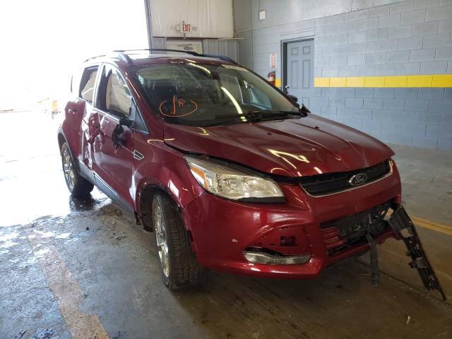 Ford Escape sel (2013)