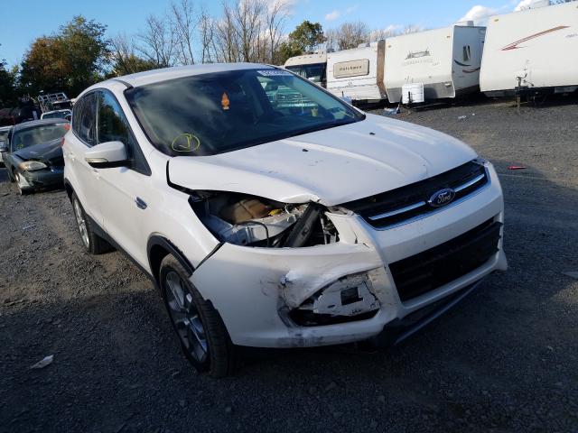 Ford Escape sel (2013)