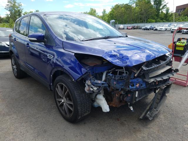Ford Escape sel (2013)