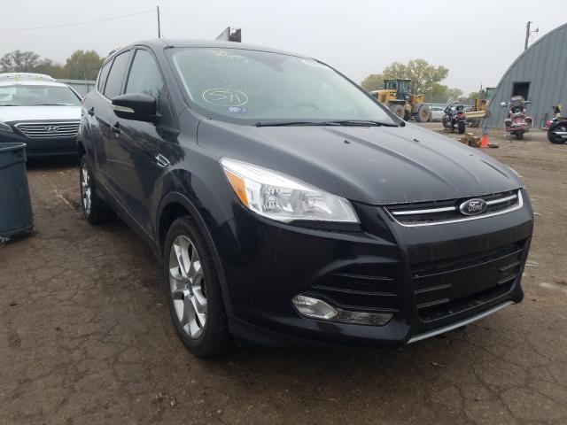 Ford Escape sel (2013)