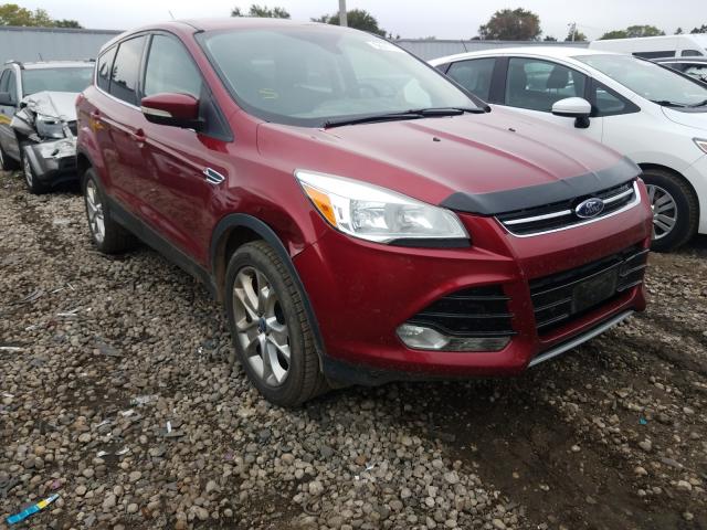Ford Escape sel (2013)