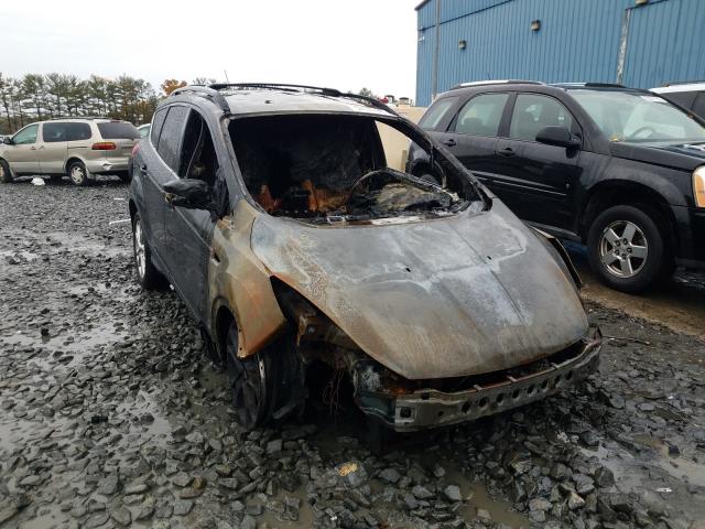 Ford Escape sel (2013)
