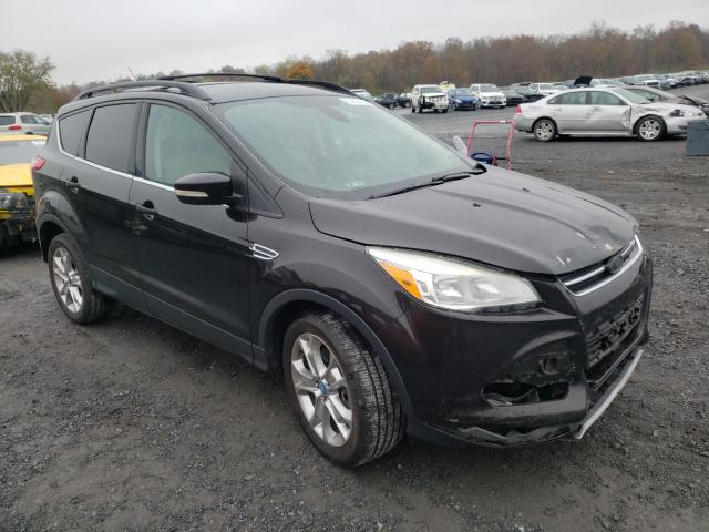 Ford Escape sel (2013)