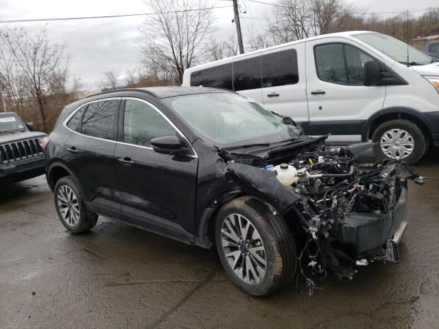 Ford Escape tit (2020)