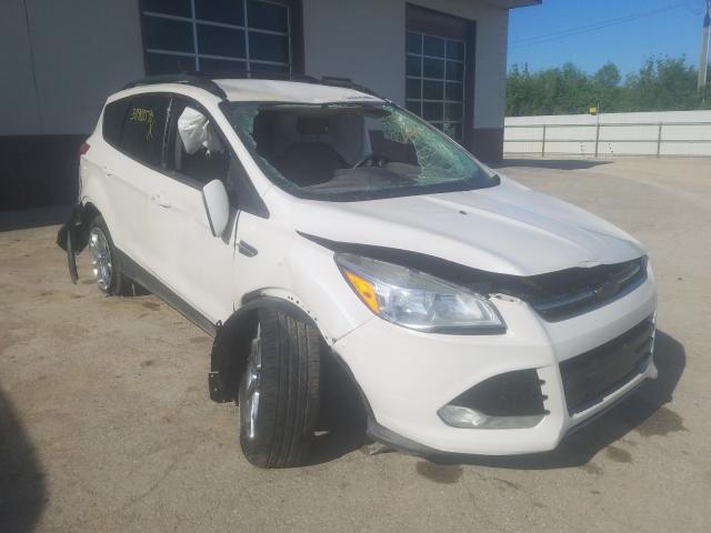 Ford Escape sel (2013)