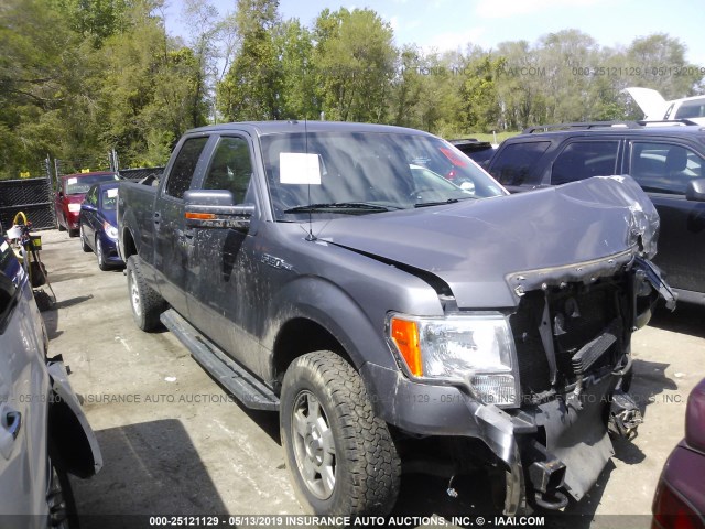 Ford F-150 (2010)