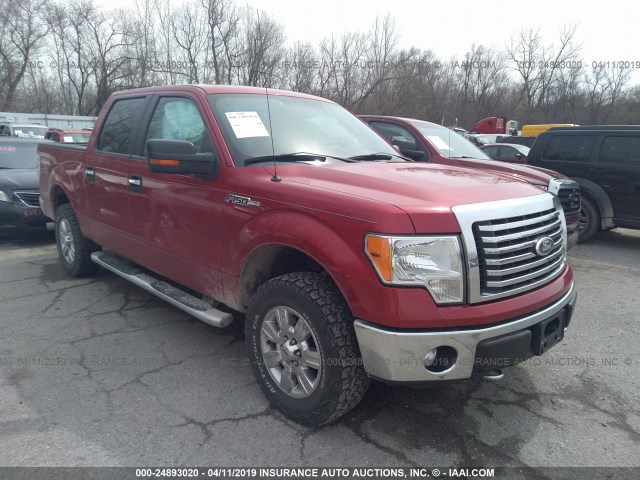 Ford F-150 (2011)