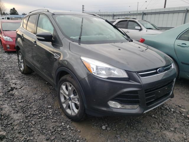 Ford Escape tit (2015)