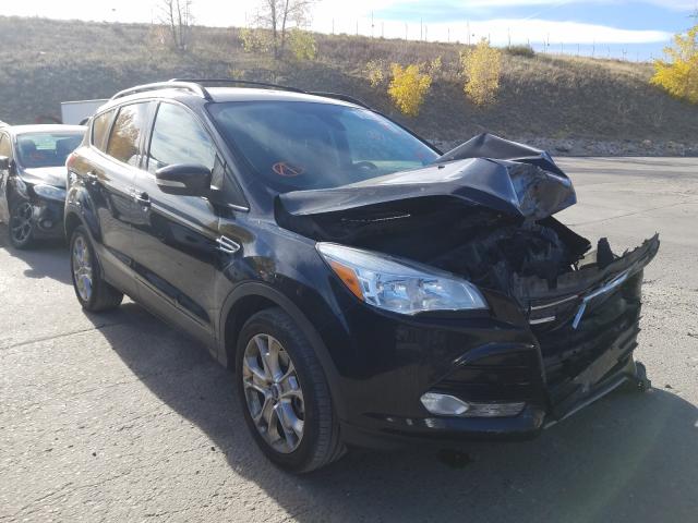 Ford Escape sel (2013)