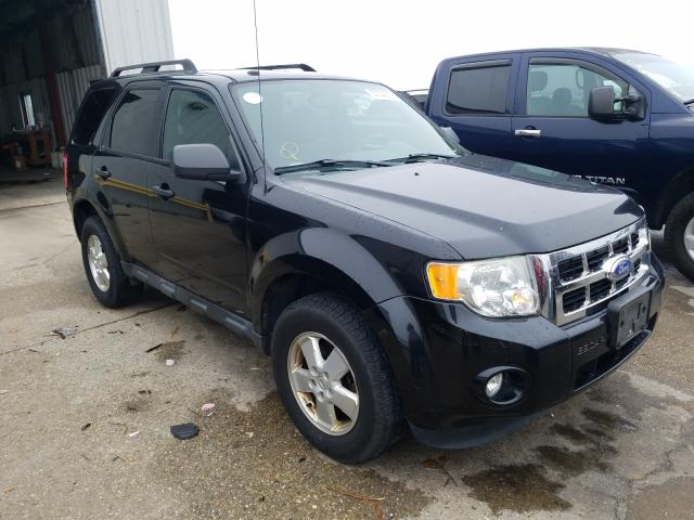 Ford Escape xlt (2020)