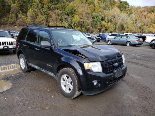 Ford Escape hyb (2010)