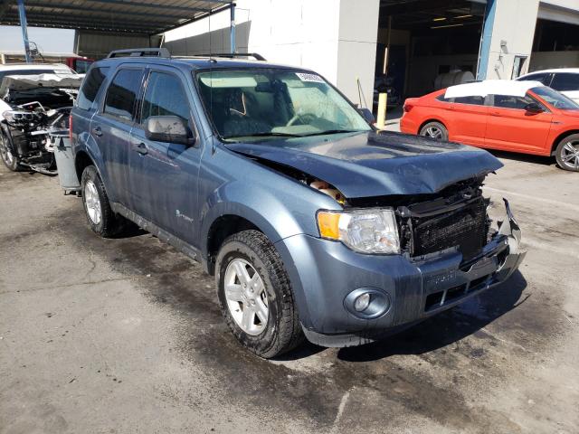 Ford Escape hyb (2011)