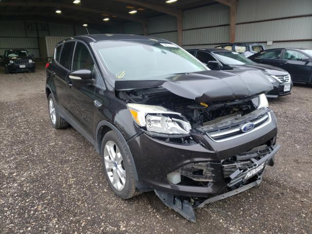 Ford Escape sel (2013)