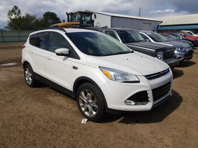 Ford Escape sel (2013)
