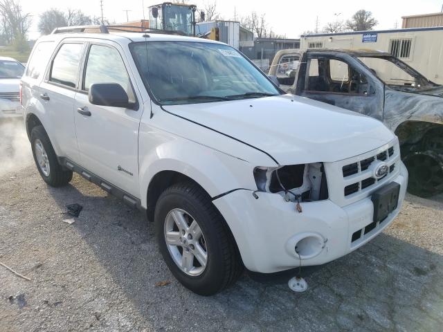 Ford Escape hyb (2010)