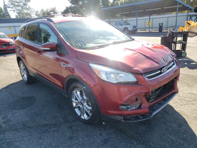 Ford Escape sel (2013)