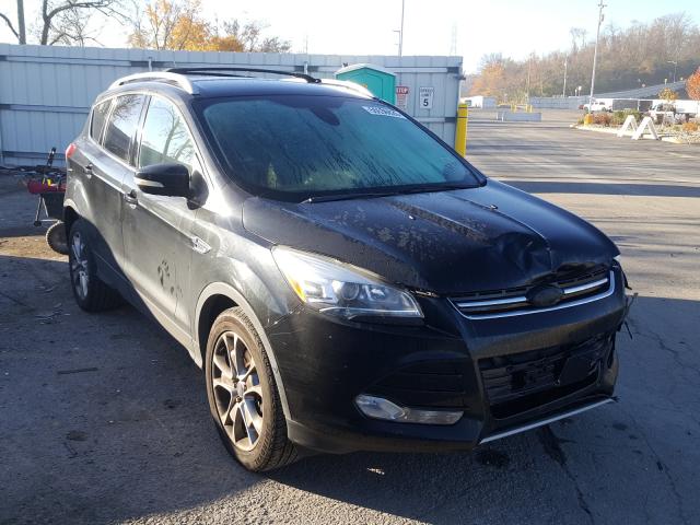 Ford Escape tit (2014)