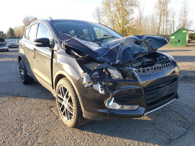Ford Escape tit (2014)