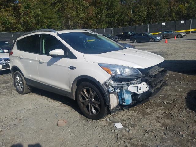 Ford Escape tit (2014)