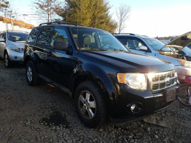 Ford Escape xlt (2010)
