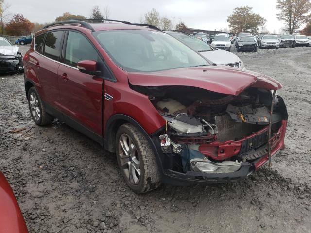 Ford Escape sel (2013)