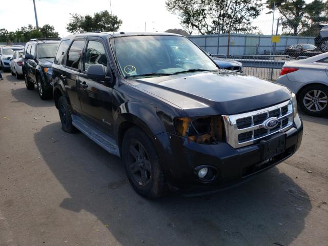 Ford Escape hyb (2010)
