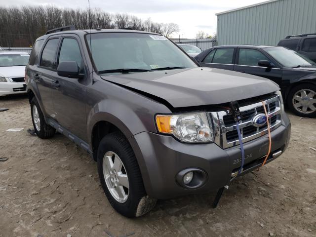 Ford Escape xlt (2011)