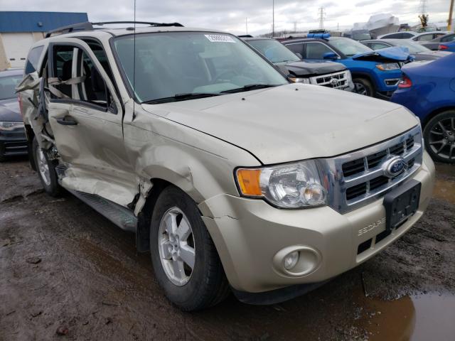Ford Escape xlt (2010)