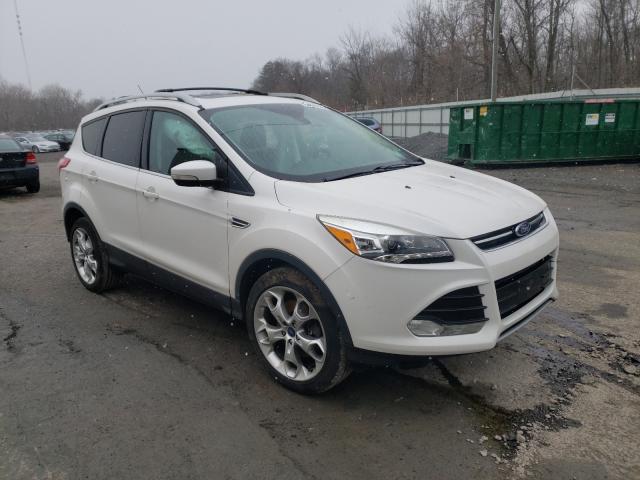 Ford Escape tit (2013)