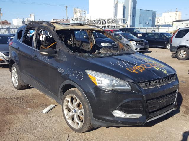 Ford Escape tit (2013)